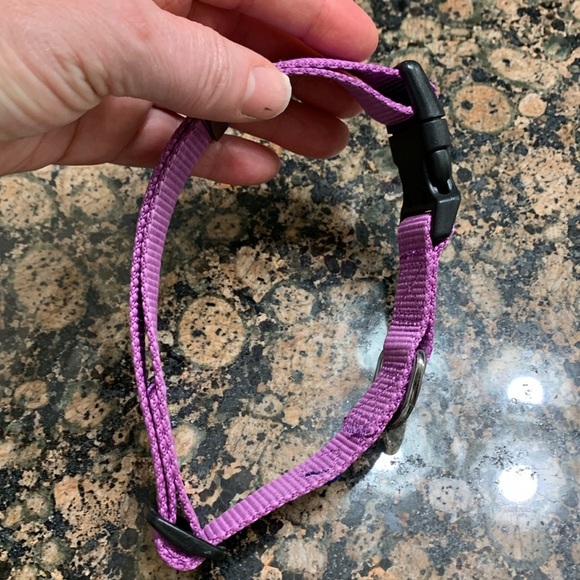 Blueberry Pet Classic Dog Collar, Dark Orchid, Nylon Collars for Dogs - Picture 5 of 7